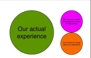 Rarely do we relate to our actual experiences. Instead, we relate to the meaning we make of our experiences and the emotional charge we feel about the experience.